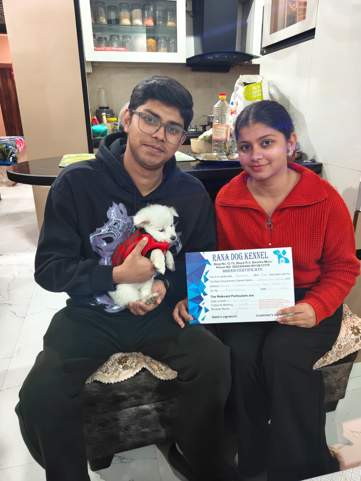 Premium puppy India
